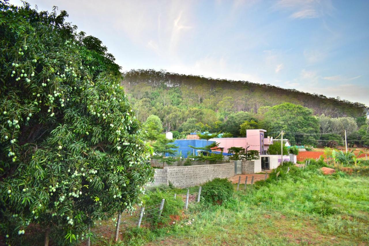 Hotel Kozee Kaves à Yelagiri Extérieur photo